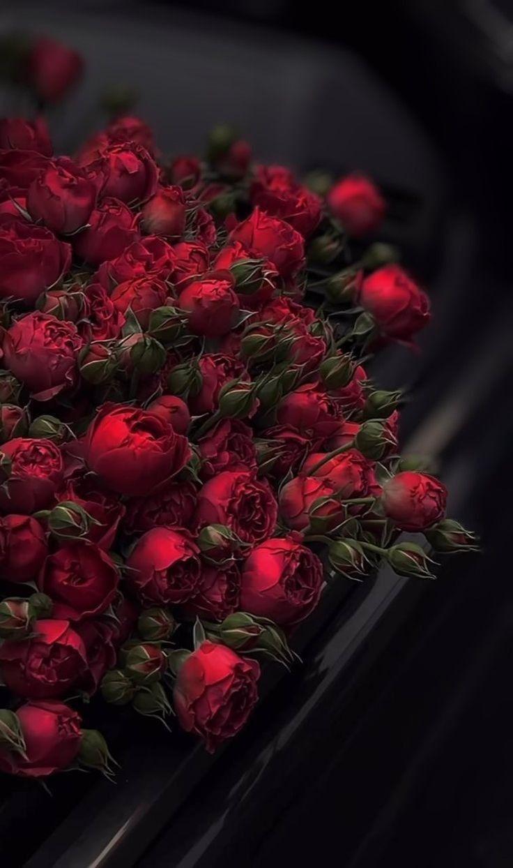Enchanted Blossom Waltz: A Fairytale Bouquet